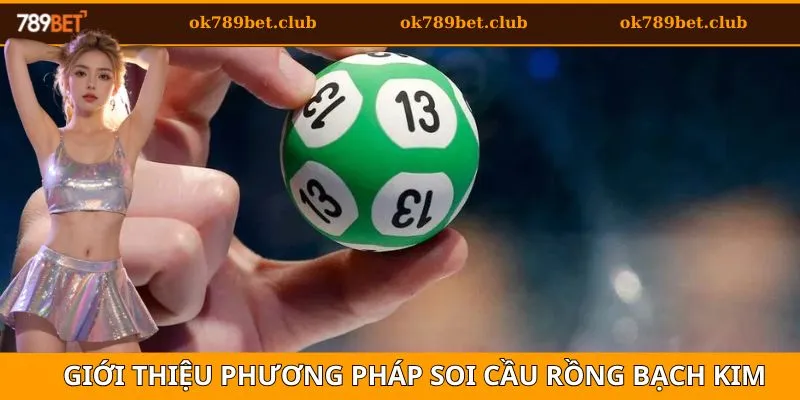 Rồng Bạch Kim - Chiến Thuật Soi Cầu Hiệu Quả 2025 2 Giới thiệu về phương pháp soi cầu rồng bạch kim