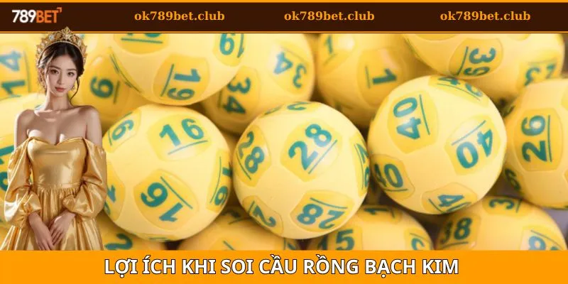Rồng Bạch Kim - Chiến Thuật Soi Cầu Hiệu Quả 2025 4 Lợi ích của chiến thuật soi cầu này
