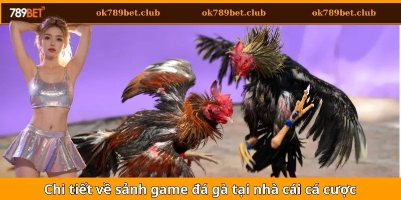 Đá Gà 1 Chi tiết về sảnh game đá gà tại nhà cái cá cược